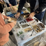 Art Workshop_Terrarium Workshop_AY2324_005