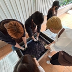 Art Workshop_TieDye_AY2324_002