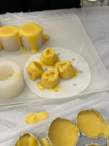 Cooking Workshop_Puree Diet_AY2324_005